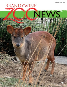 Zoo-News: Feb-May 2022