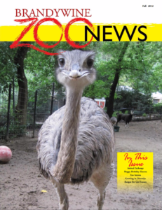 Zoo News: Fall 2012