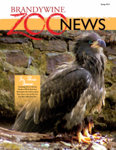 Zoo News: Spring 2014