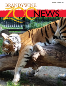 Zoo News: Winter 2017