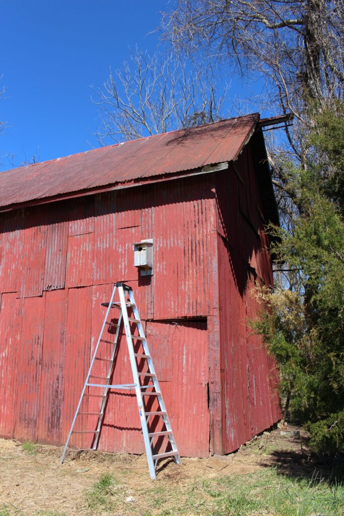 Kestrel Nest Box at Delaware Wildlands