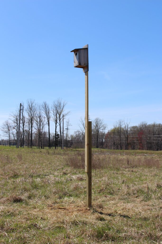 Delaware Wildlands kestrel box at Taylor's Farm