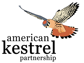 American Kestrel Partnership