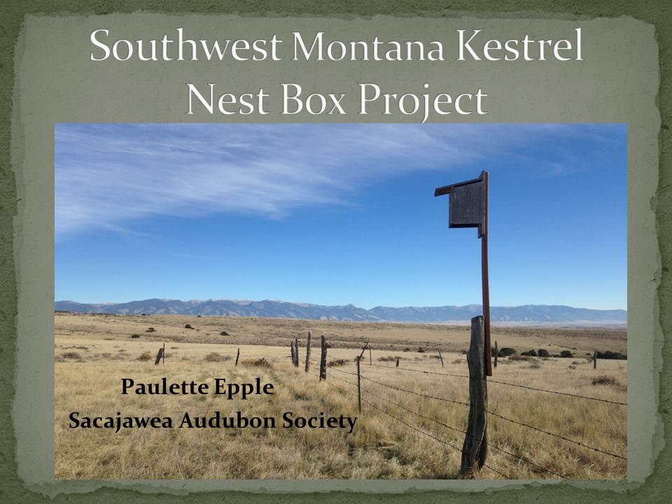 Epple - Southwest Montana Kestrel Nest Box Project