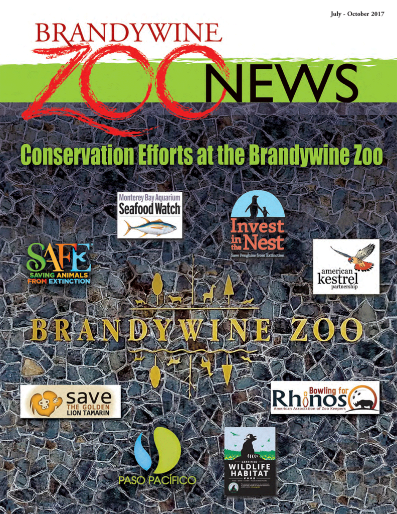 zoo news summer 2017