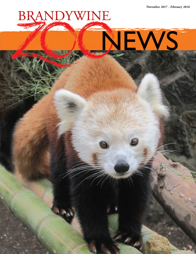 zoo news winter 2017