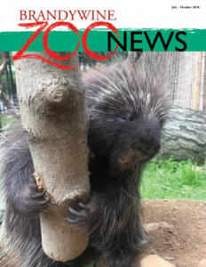 Zoo News Summer 2018