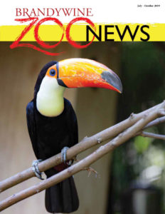 Zoo News Summer 2019