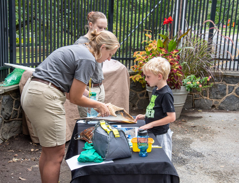 Volunteer or Intern • Brandywine Zoo