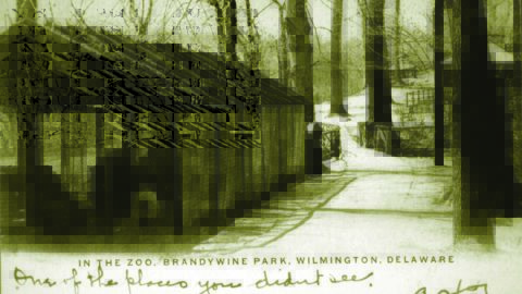 zoo 1906