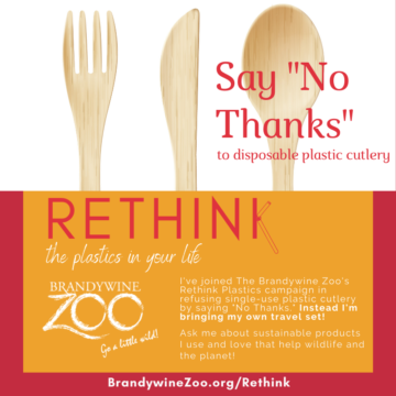 say no to disposable plastic cutlery