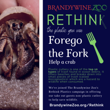 forego the fork and help a crab