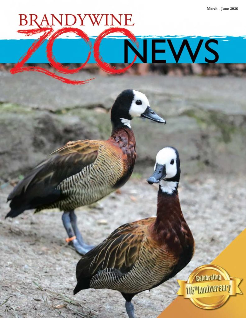 Zoo News Spring 2020