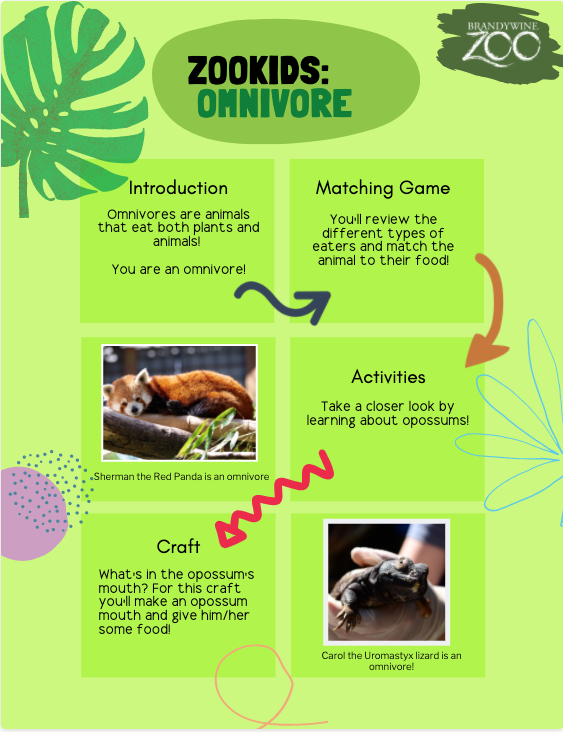 Zookids omnivore