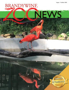 Zoo News Summer 2020