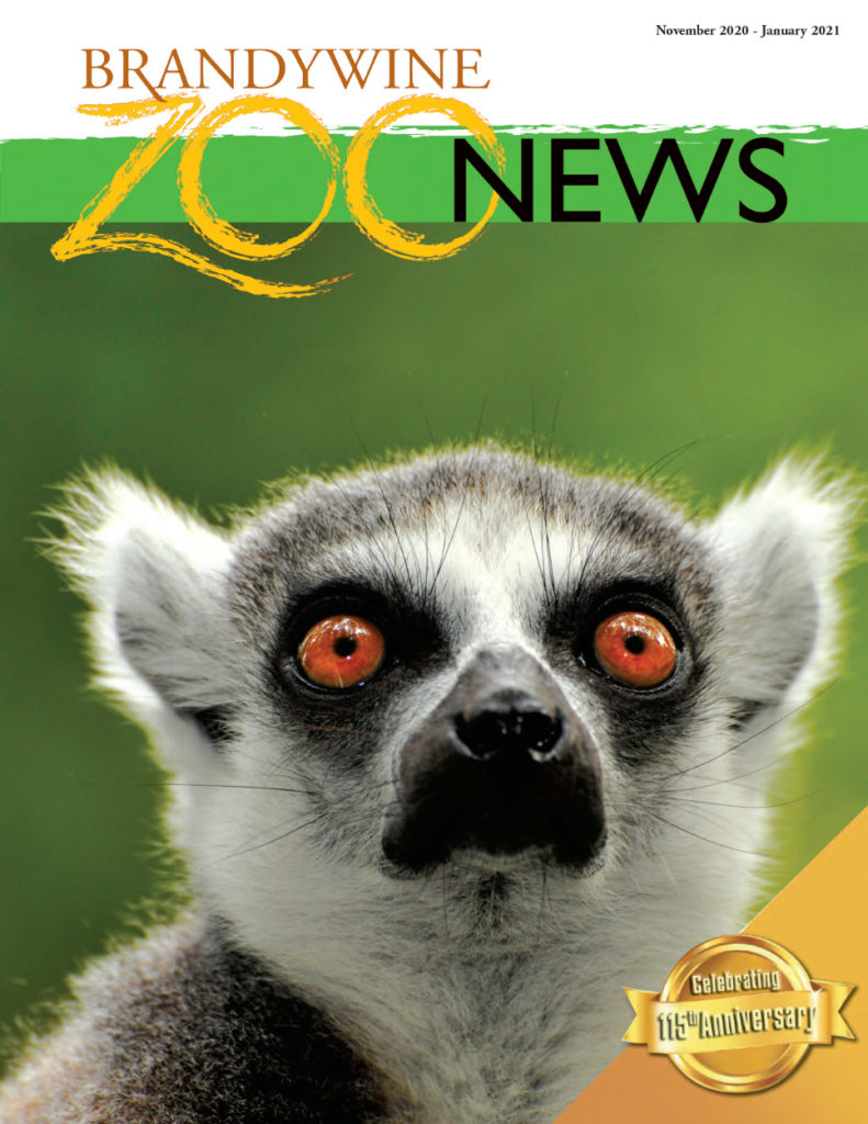 Brandywine Zoo News - October 2020 - January 2021