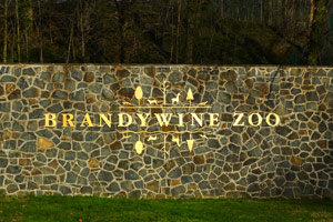 Brandywine Zoo Stone Wall