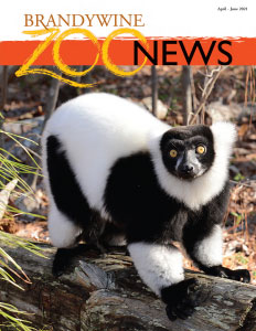 Zoo News Spring 2021