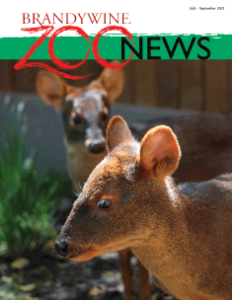 Zoo News Summer 2021