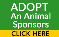 adopt an animal sponsor list