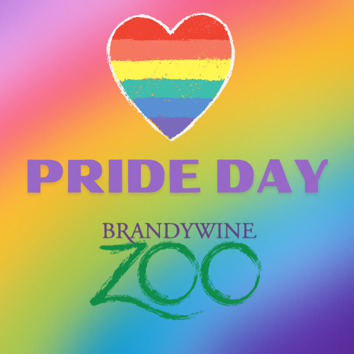 Brandywine Zoo Pride Day
