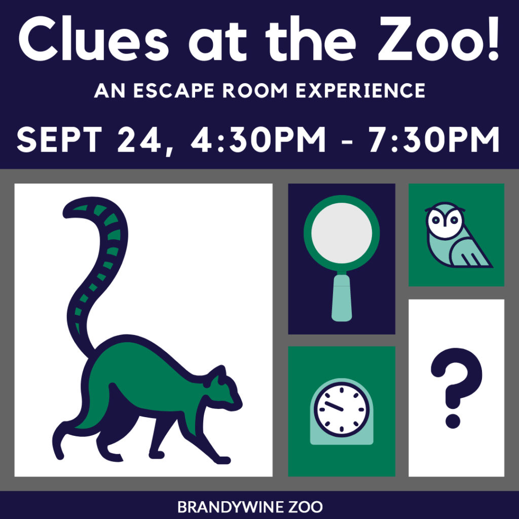 Clues at the Zoo