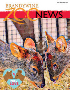 Zoo News June-Sept 2022