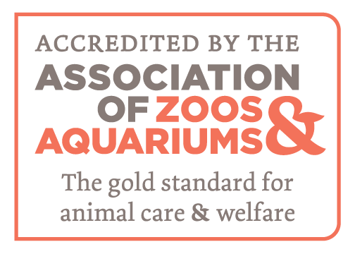AZA the gold standard for animal care and welfare