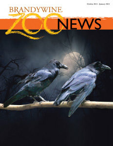 Brandywine Zoo News: October 2022-January 2023 cover image