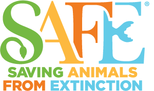 SAFE logo