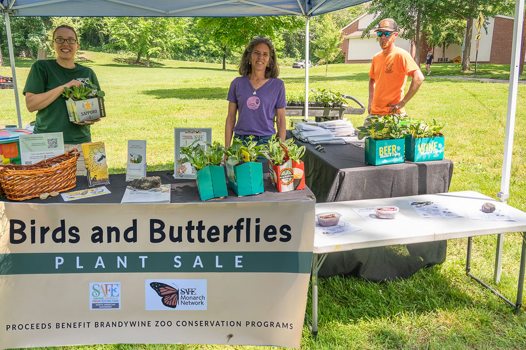 Birds and Butterflies Plant Sale