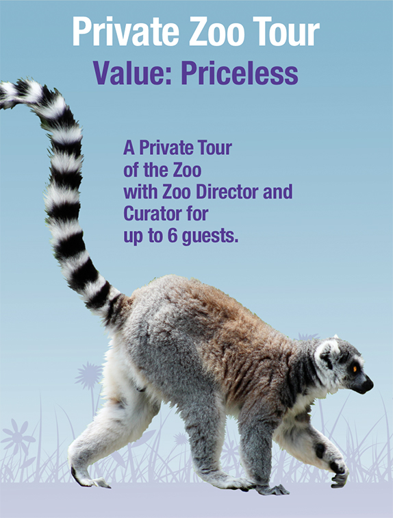 Private Zoo Tour