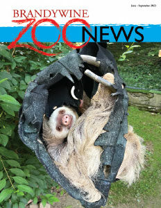Zoo News June-Sept 2023 cover