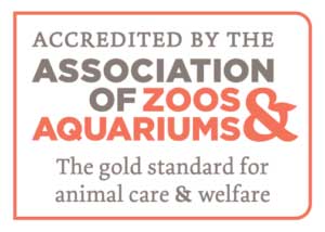 AZA the gold standard for animal care and welfare