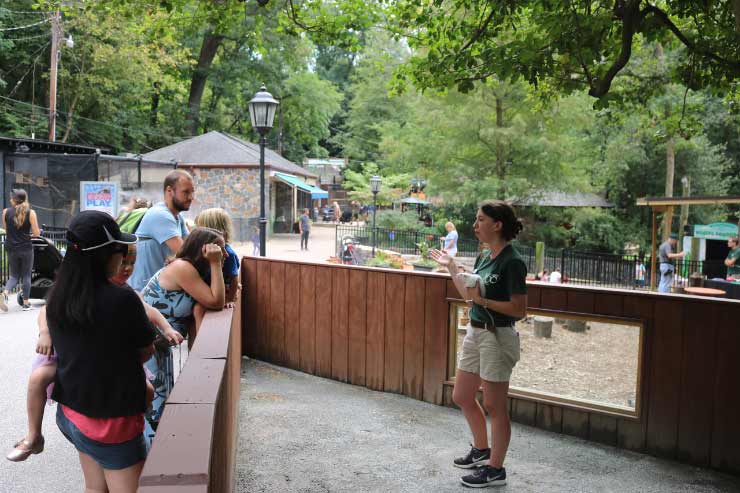 Creature Features at the Brandywine Zoo