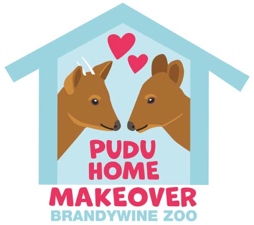 pudu home makeover at the brandywine zoo