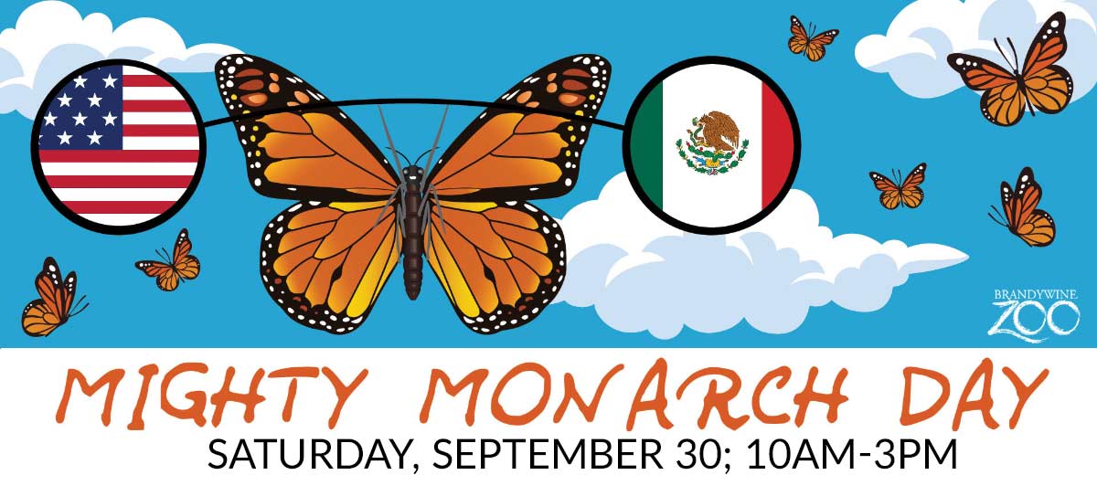 Might Monarch Day at the Brandywine Zoo