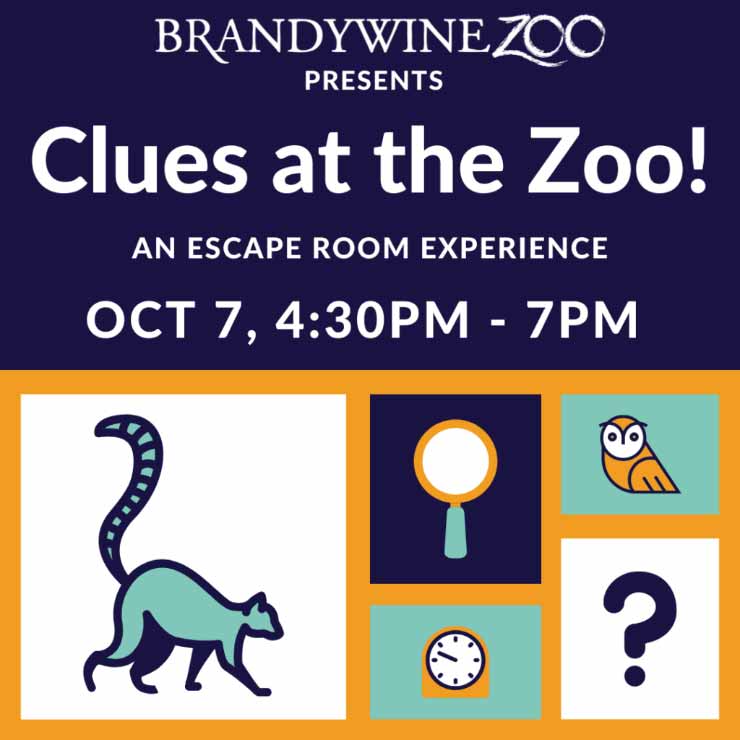 Clues at the Zoo an escape room experience at the Brandywine Zoo