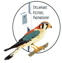 Delaware Kestrel Partnership logo