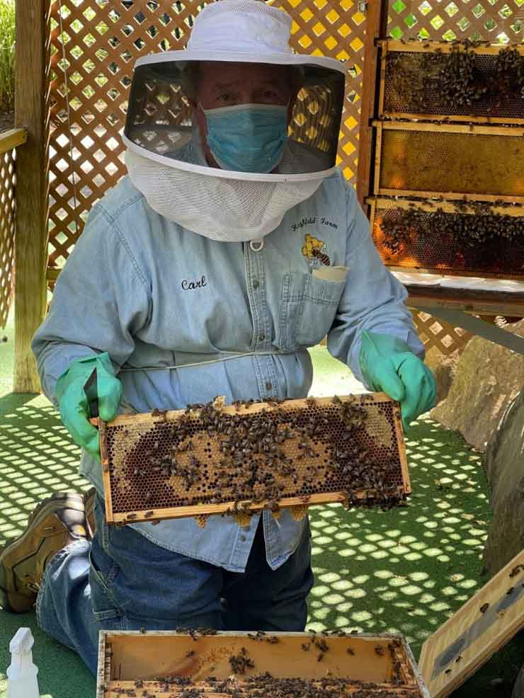 Brandywine Zoo Bee Keeper holding hive