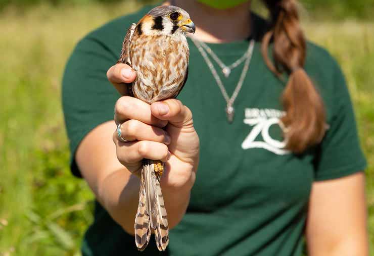Field conservation efforts at the Brandywine Zoo