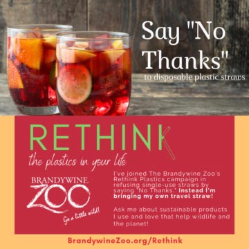 Rethink plastics say no thanks