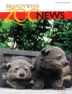 Brandywine Zoo News Oct. 2023 thru Jan. 2024