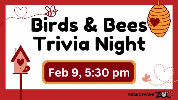 Birds and Bees Trivia Night 21+ at the Brandywine Zoo