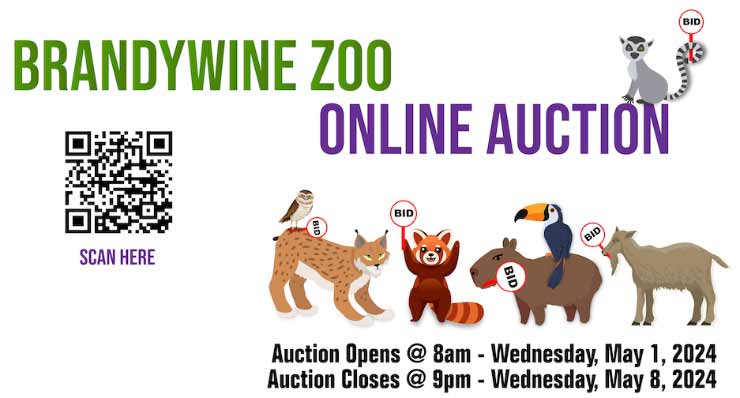 Brandywine Zoo Online Auction