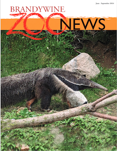 Brandywine Zoo News June-Sept 2024