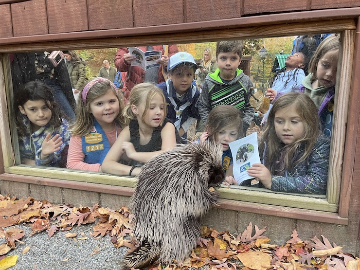 Scout Night at the Brandywine Zoo