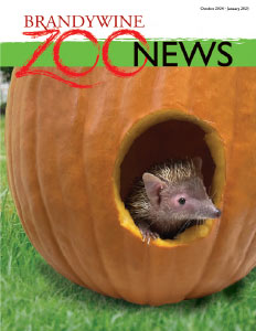 Brandywine Zoo News October - January 2025