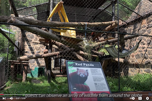 Brandywine Zoo brings animal kingdom to Wilmington