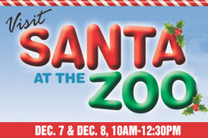 Visit Santa at the Zoo